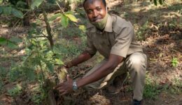 Anuary is part of the staff at the Coffee Lodge that gives one-hour Bean-to-Cup coffee estate tours.