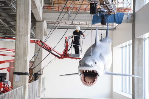 Bruce the Shark from Jaws finds his new home Photo by Todd Wawrychuk ©Academy Museum Foundation