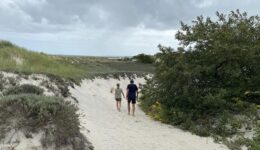 Dunes Crane Beach