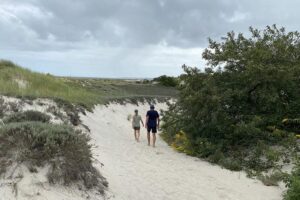 Dunes Crane Beach