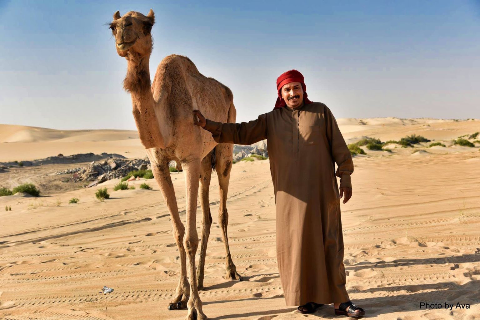 camel tender 1
