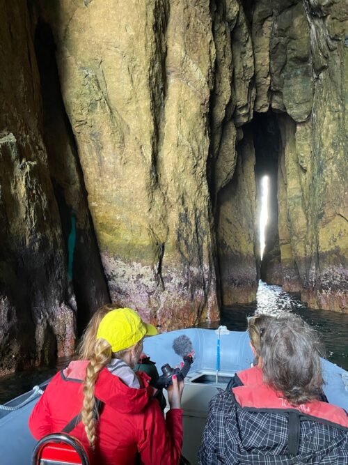 Slot canyons and coves are a fascinating part of our morning boat tour of the Cabras Islets off the coast of Terceira Island at Angra do Heroismo arranged by ZeniTravel.