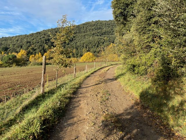 to the trailhead through farm fields