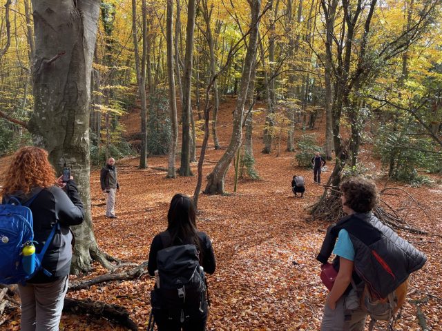 Keeping silent for a long time was a highlight of stopping in this little glade.