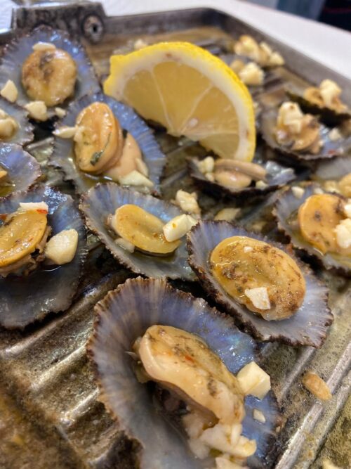 Limpets look like little clams, but they're actually a kind of aquatic snail. Still, they make a delicious lunch treat and are a favorite in the Azores Islands of Portugal.