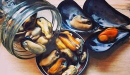 fresh newfoundland mussels