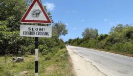 monkey crossing sign