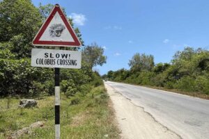 monkey crossing sign