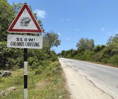 monkey crossing sign