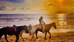 Vaquero at Sunset