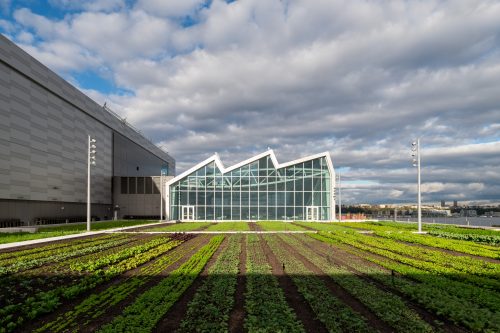  Javits Farm