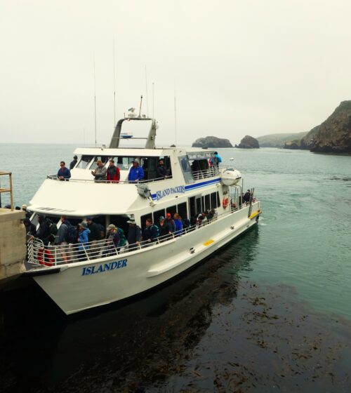 Arriving at Scorpion Cove Santa Cruz