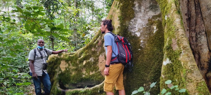 Guide in the Mabira rainforest in Uganda
