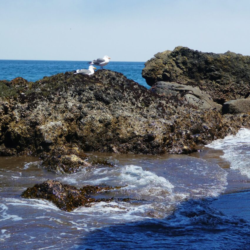 Heading over a rocky sand bar on our return trip