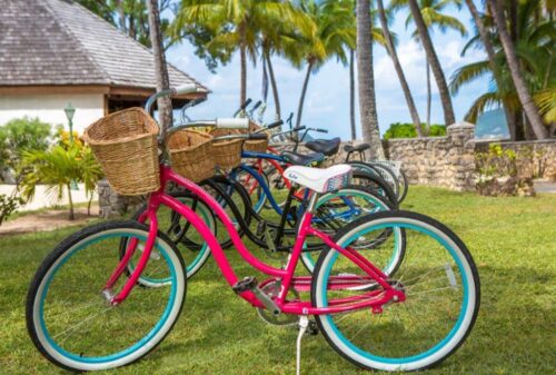 Palm Island Bikes