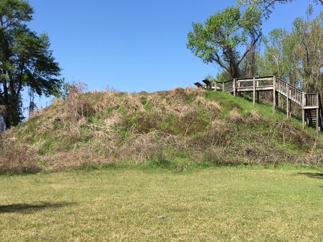Atop the Santee Indian mound on the former Fort Watson site, you get a gorgeous view of the lake as well as historical markers that tell the story of the site.