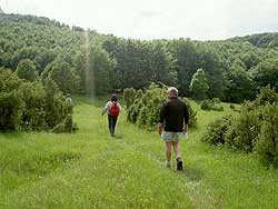 Hiking the lush Jewish Meadow, in the Bukk Upland region. photo by Max Hartshorne.