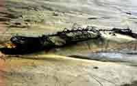 Shipwreck at Skeleton Coast