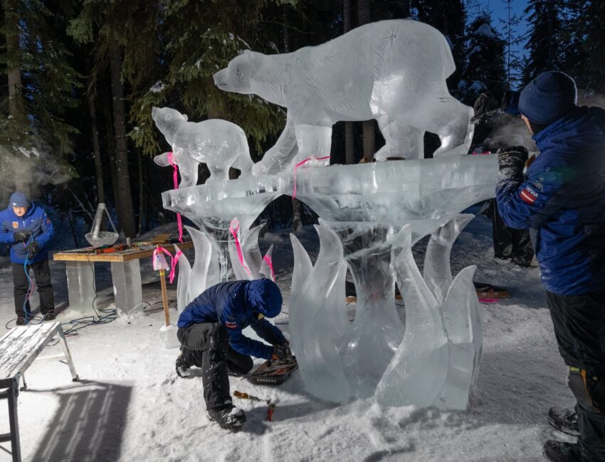 aurora At the World Ice Art Championships, over 100 artists from 30 countries display their skills in working with ice.