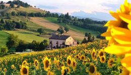 B&B experience - Casale delle Rondini in Le Marche, italy.