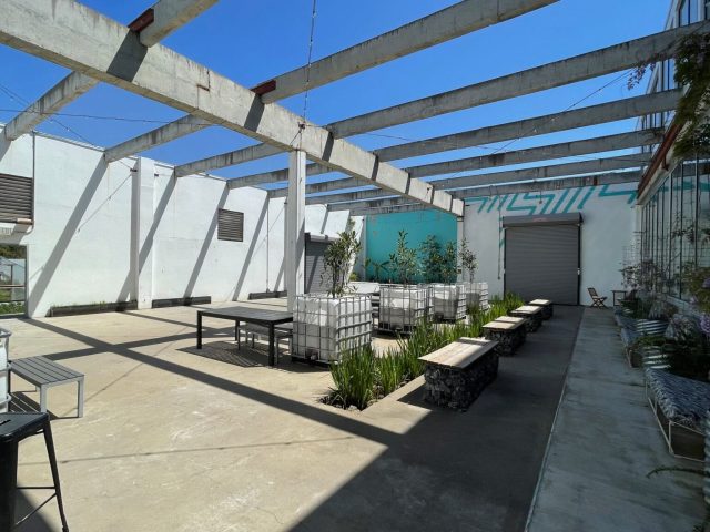 Ecoshed co-work and gardens in Midtown Jackson Ecoshed co-work and gardens in Midtown Jackson