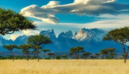 African Landscape / Thomas Bennie photo