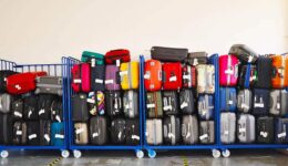 carts-luggage