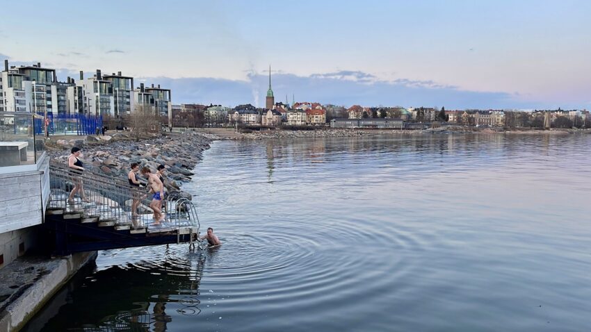 Loyly is an urban oasis with a ladder to take a dip in the Baltic after your sauna experience