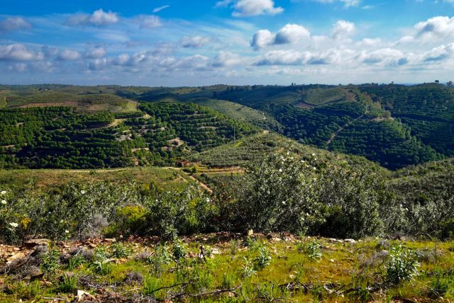 alentejo