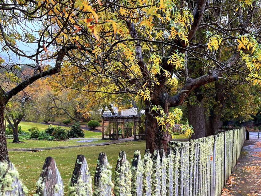 Autumn Colours at Port Arthur Tasmania