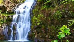 Waimea Falls