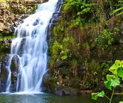 Waimea Falls