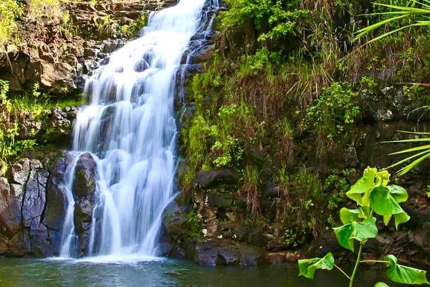 Waimea Falls