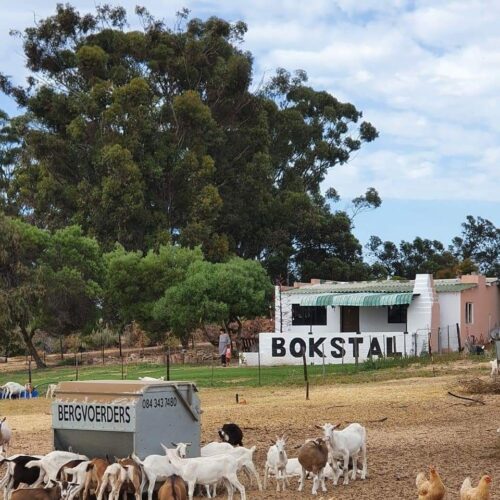 Quaint West Coast Fishing Villages of South Africa 12 Betty Bok farmstall