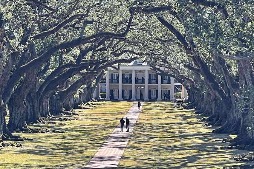 oak alley plantation