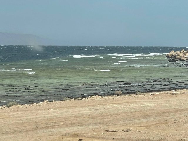 Undisturbed Red Sea Coast Hundreds of kilometers of undisturbed Red Sea Coast in NEOM