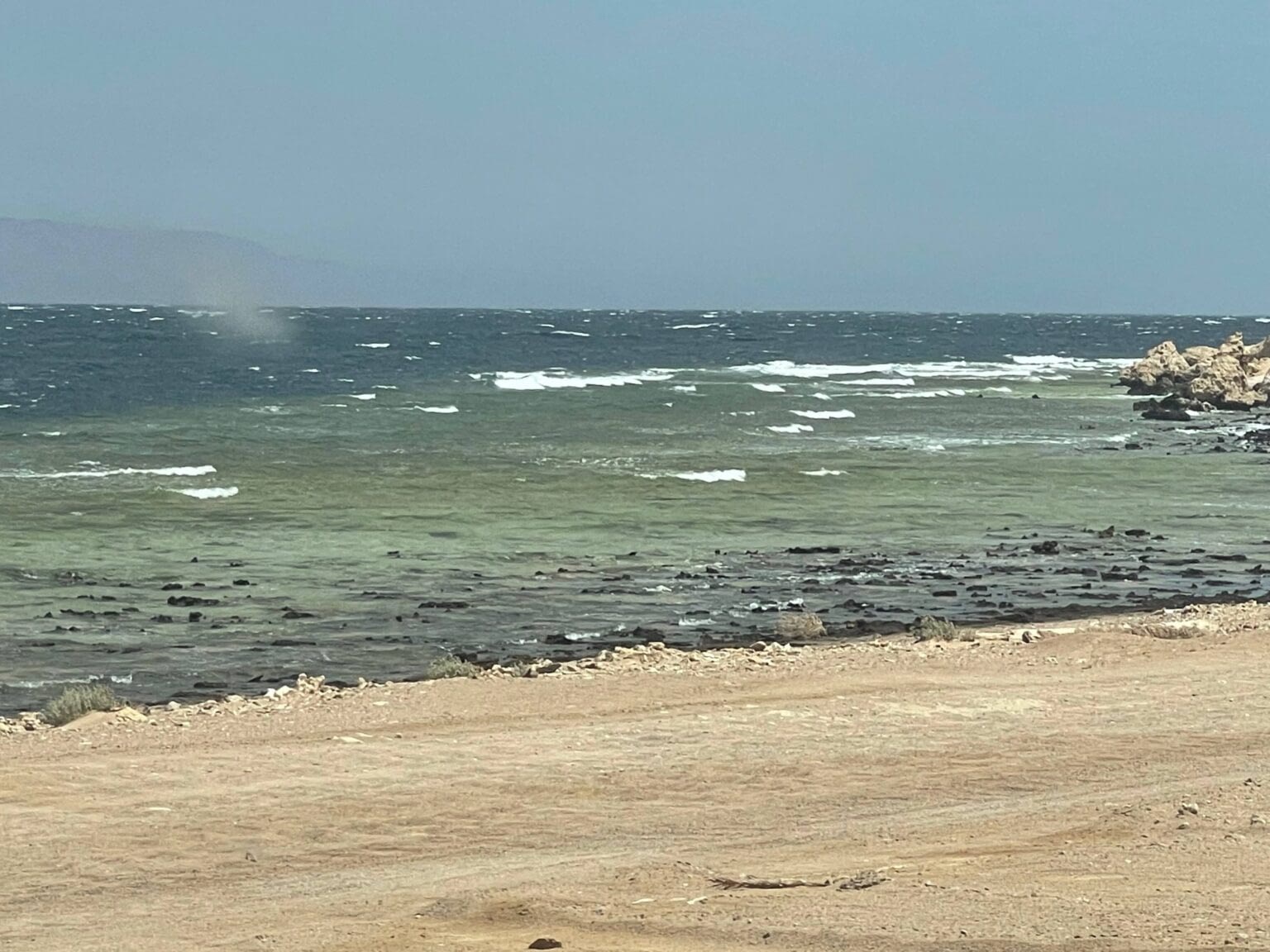 Hundreds of kilometers of undisturbed Red Sea Coast in NEOM