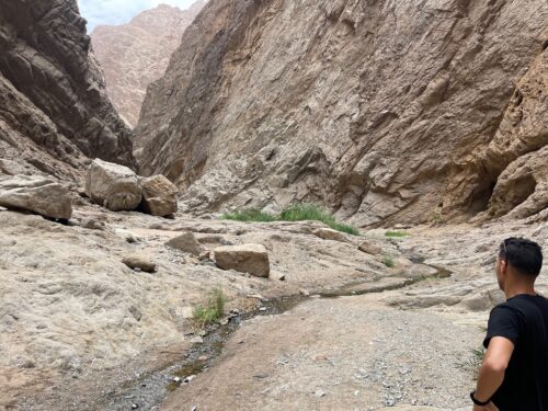 Wadi Tiyep Asm is a green oasis between two huge mountains in NEOM.