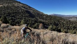 bicyling-ely