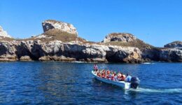 intrepid-snorkelers