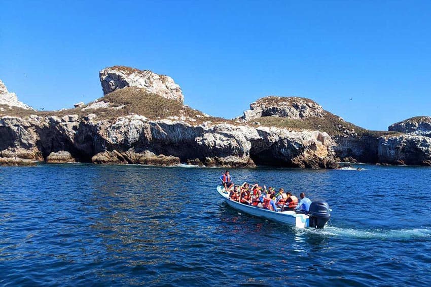 intrepid-snorkelers