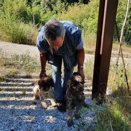 A man and his truffle dogs.