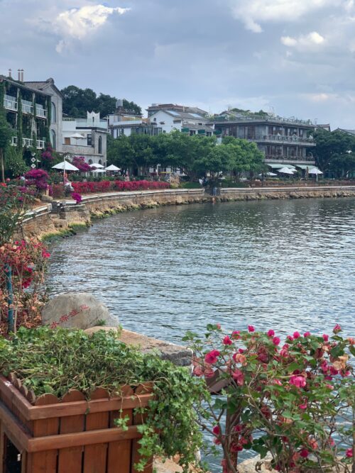 The shoreline along Erhai Lake is rimmed with colorful bougainvillea.