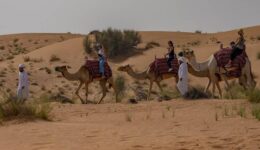 camel ride
