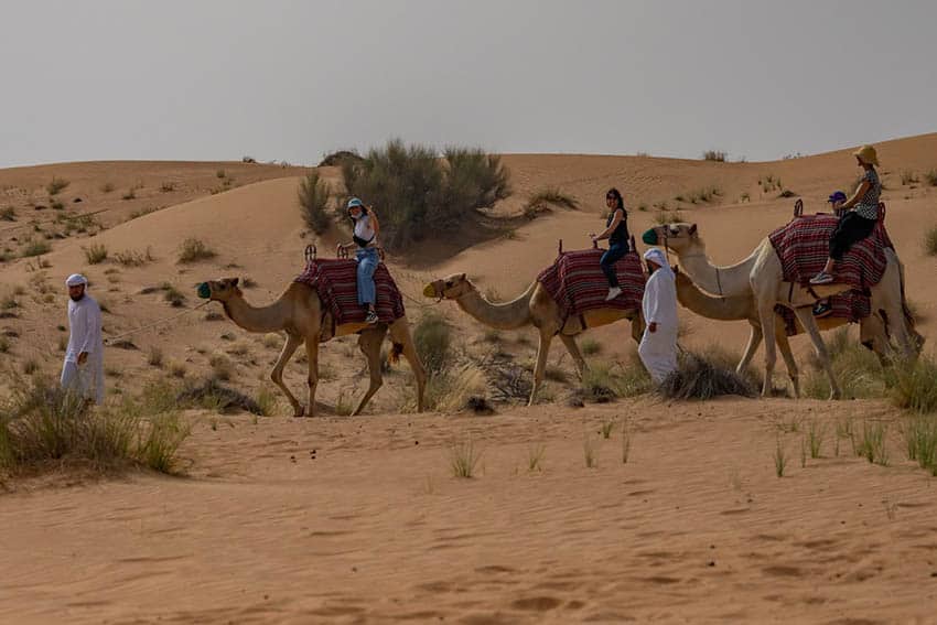 camel ride