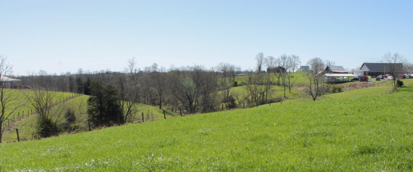 farmland in kentucky at willow farm store 1