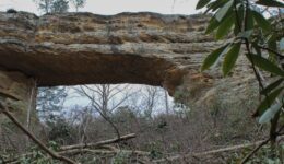 Natural bridge in Kentucky.