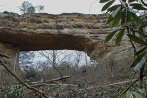 Natural bridge in Kentucky.