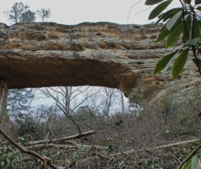 Natural bridge in Kentucky.