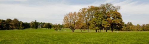 Princeton Battlefield State Park is a great place for a picnic!